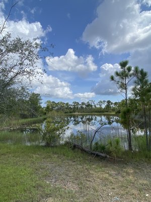 Fred C. Babcock/Cecil M. Webb Wildlife Management Area by null