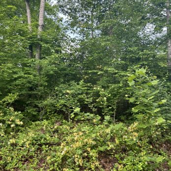 Broad Run Park - Parks Near Me - Louisville, Kentucky