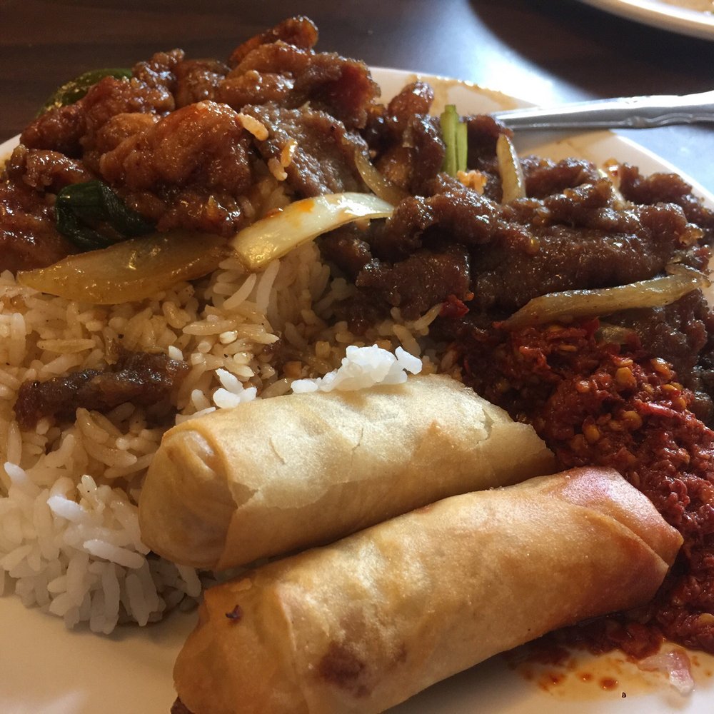 Golden Dragon - Every plate here is a good plate! - Chinese Near Me - Haleyville, Alabama