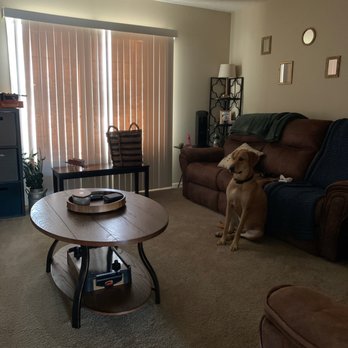 CCCleanAZ - They cleaned literally head to toe! - Office Cleaning Near Me