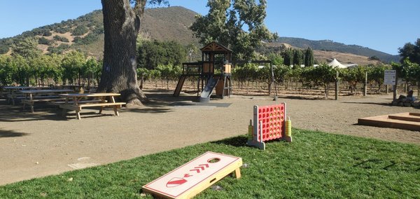 Vega Vineyard and Farm by null