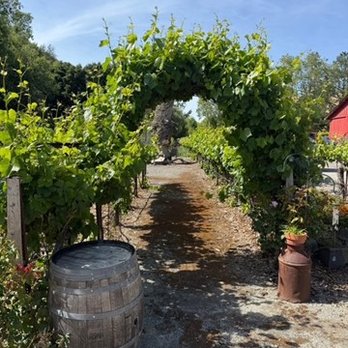 TwiningVine Winery - Wineries Near Me - Castro Valley, California