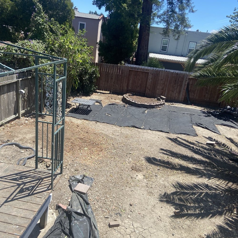 Bay Area Tree Pro - AFTER - Redwood tree and stump gone, Stump in rear of yard gone - Tree Services Near Me Bay Area Tree Pro - AFTER - Redwood tree and stump gone, Stump in rear of yard gone - Tree Services Near Me