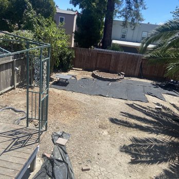 Bay Area Tree Pro - AFTER - Redwood tree and stump gone, Stump in rear of yard gone - Tree Services Near Me