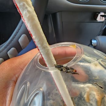 McDonald's - Fly I had to spit out and leg I had to pull out my tooth - Burgers Near Me - Glendale, California McDonald's - Fly I had to spit out and leg I had to pull out my tooth - Burgers Near Me - Glendale, California