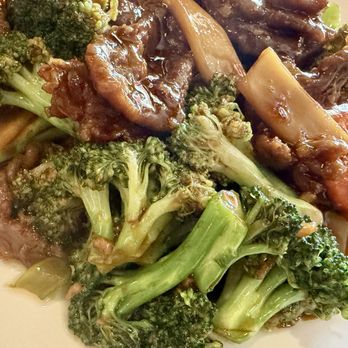 Szechwan Noodle - Beef and broccoli - Szechuan Near Me - Tempe, Arizona Szechwan Noodle - Beef and broccoli - Szechuan Near Me - Tempe, Arizona