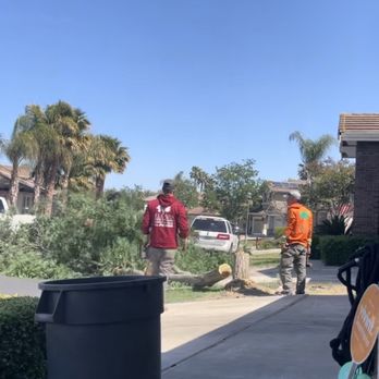 Flores Tree & Landscape - Tree Services Near Me