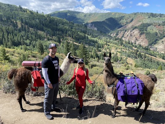 Paragon Guides by null