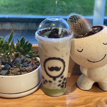 Mr Tea Cafe - Potted Winter Melon Milk Tea Reg Sweet with Boba and Matcha Pudding - Bubble Tea Near Me - Honolulu, Hawaii Mr Tea Cafe - Potted Winter Melon Milk Tea Reg Sweet with Boba and Matcha Pudding - Bubble Tea Near Me - Honolulu, Hawaii
