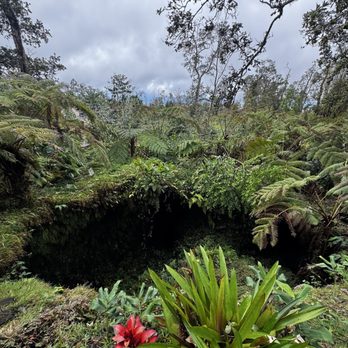 Mountain Thunder Coffee Plantation - Coffee & Tea Near Me - Kailua-Kona, Hawaii