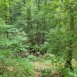 Piatt Park - Woods - Parks Near Me - Woodsfield, Ohio