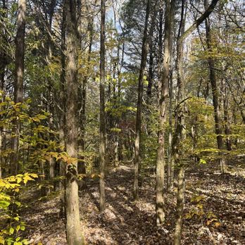 Edgar Evins State Park - Parks Near Me - Silver Point, Tennessee