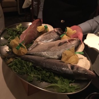 Al Tiramisu - Fish of the day - Italian Near Me - Washington, DC, District of Columbia