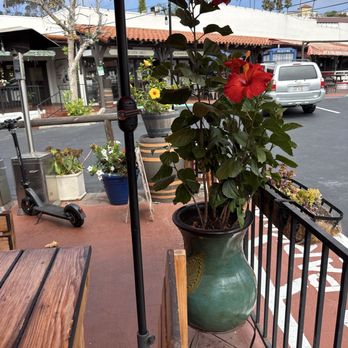 Los Patios Cocina Mexican - Mexican Near Me - San Clemente, California Los Patios Cocina Mexican - Mexican Near Me - San Clemente, California