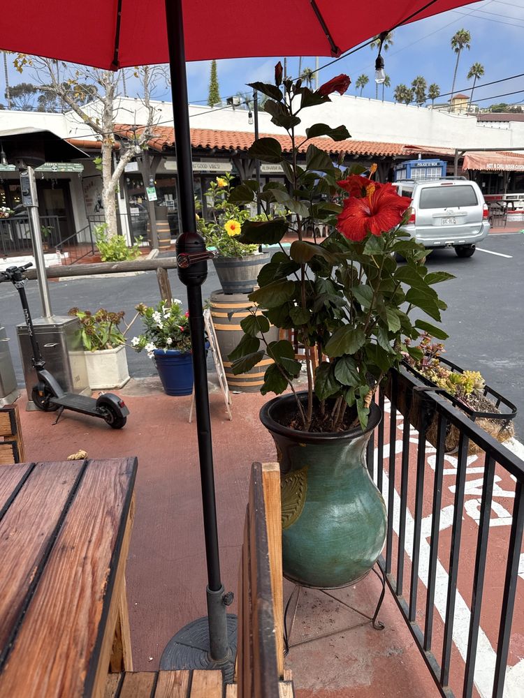 Los Patios Cocina Mexican