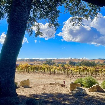 Robert Hall Winery - Wine Tasting Room Near Me - Paso Robles, California