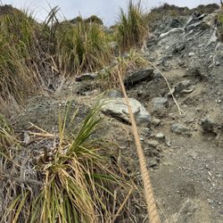 Jade Cove Beach - Rope leading up to trail