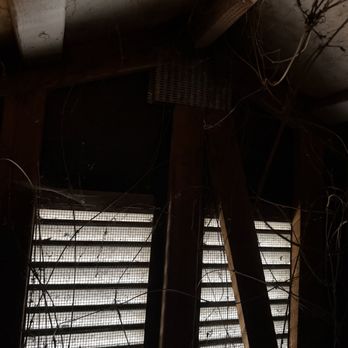 Broad Vision Construction - Vines grown in attic - Handyman Near Me