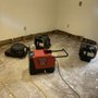 Photo of Easy Clean Carpet & Upholstery Cleaning