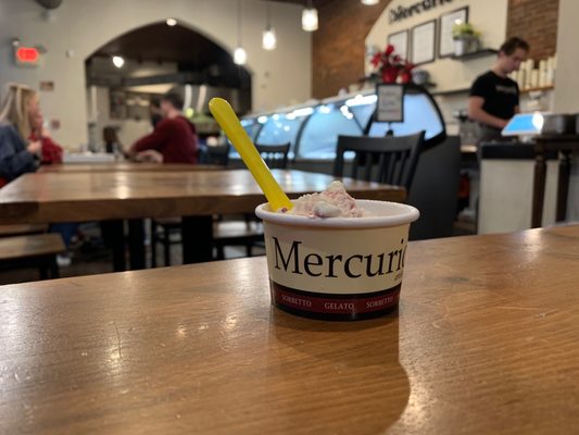 Mercurio's Shadyside by null
