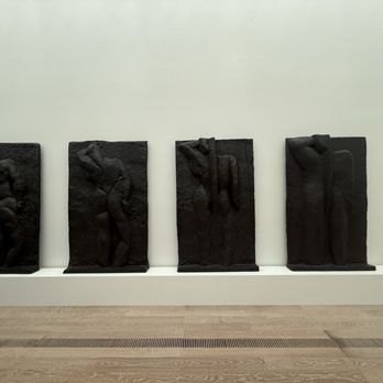 Fondation Beyeler - Art Museums Near Me - Riehen, BS