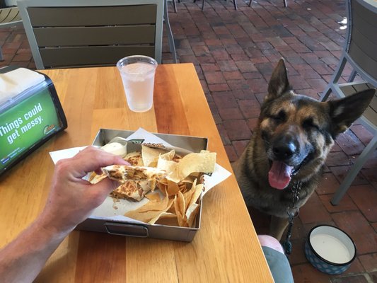 Lime Fresh Mexican Grill by null