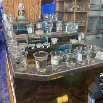 Pet World - Pet Stores Near Me - Plantation, Florida