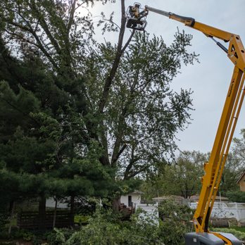 Halls Tree Service - Removing the limbs threating our house. - Tree Services Near Me - Grand Rapids, Michigan Halls Tree Service - Removing the limbs threating our house. - Tree Services Near Me - Grand Rapids, Michigan