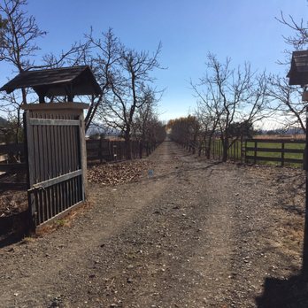 Viña Haras de Pirque - Beer, Wine & Spirits Near Me - Pirque, RM