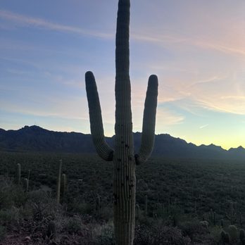 Brown Mountain Trailhead - Saguaro - Hiking Near Me - Tucson, Arizona