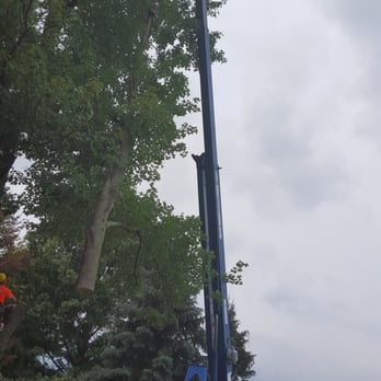 Hardwick Tree Care - Tree Services Near Me - Centerburg, Ohio