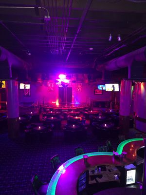Deja Vu Showgirls - Chicago Strip Club by null