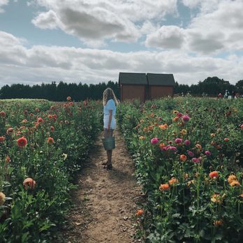 Parlee Farms - Farmers Market Near Me - Tyngsboro, Massachusetts