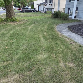 Land Art - Tree Services Near Me - Perrysburg, Ohio Land Art - Tree Services Near Me - Perrysburg, Ohio