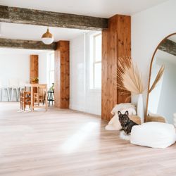 The Bellingham Studio - The Bellingham Studio
