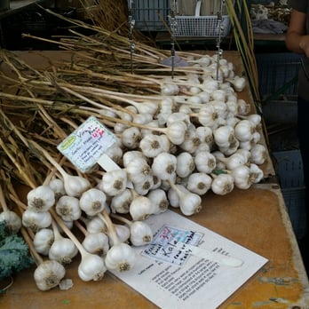 Carp Farmers' Market - Mmmm garlic - Farmers Market Near Me - Ottawa, Ontario
