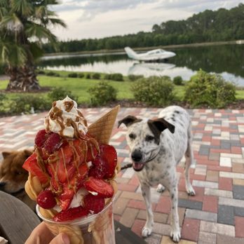 Aloha Waffle Bar - The Floridian with raspberries - Coffee & Tea Near Me - Jacksonville, Florida