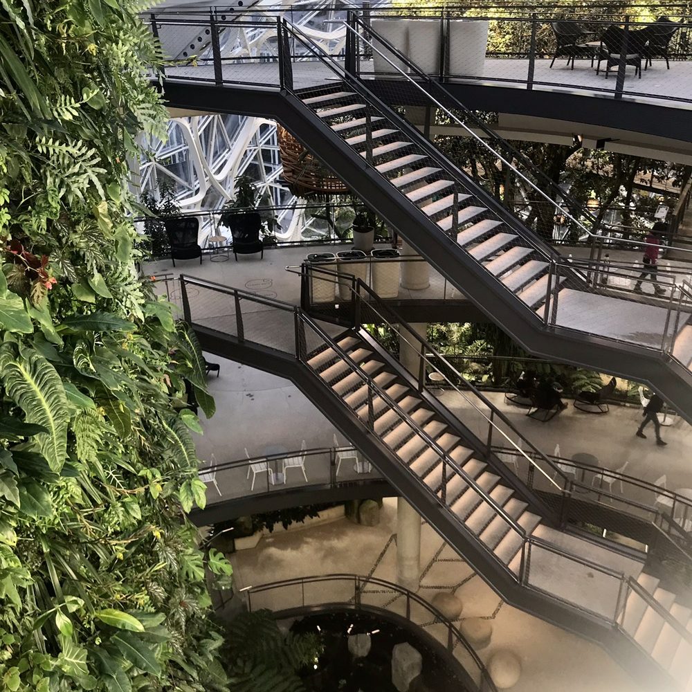 Amazon Spheres - View from the top floor - Botanical Gardens Near Me - Seattle, Washington Amazon Spheres - View from the top floor - Botanical Gardens Near Me - Seattle, Washington