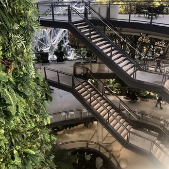 Amazon Spheres - View from the top floor - Botanical Gardens Near Me - Seattle, Washington