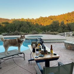 Aqua Oasis Pool Service  - Family dog feels safe with the new company 3