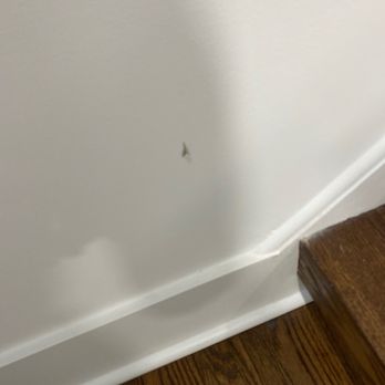 Hector & Sons - Gash in wall - Movers Near Me - Charlotte, North Carolina