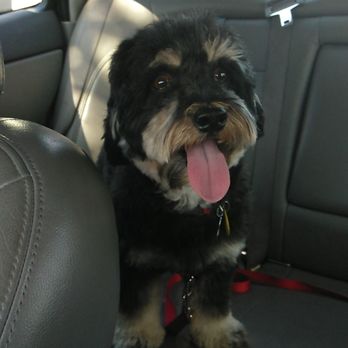 PetSmart - Pet Stores Near Me - Buena Park, California