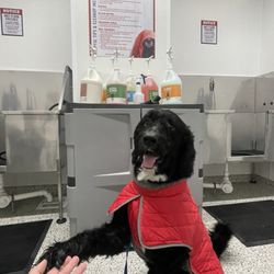 Tractor Supply - Happy clean dog