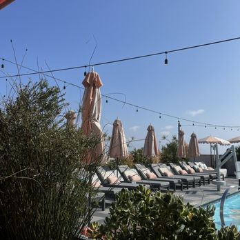 Butterfly - Rooftop Vibes! Beautiful View of the Pool. - Tapas/Small Plates Near Me - Culver City, California Butterfly - Rooftop Vibes! Beautiful View of the Pool. - Tapas/Small Plates Near Me - Culver City, California