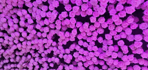 Sugar Factory New York - Time Square by null