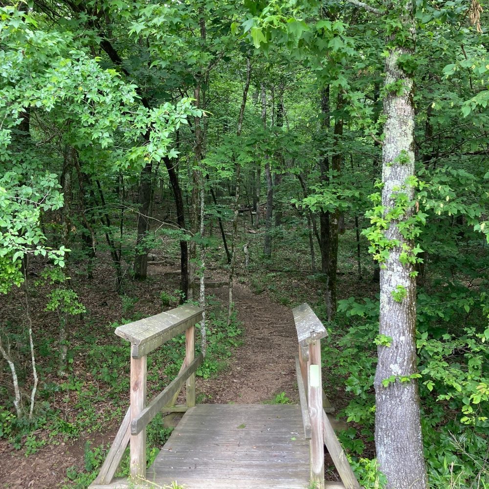 Lake Fort Smith State Park - Another access to the trails - Parks Near Me - Mountainburg, Arkansas Lake Fort Smith State Park - Another access to the trails - Parks Near Me - Mountainburg, Arkansas