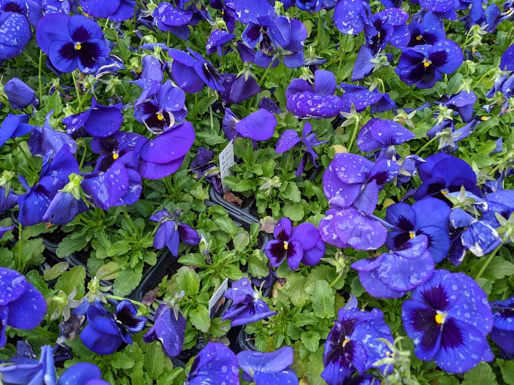 KURTZHALS’ FARMS Updated October 2024 49 Photos & 18 Reviews