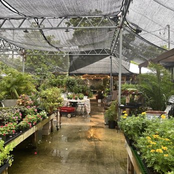 Bloom Garden Shop - Nurseries & Gardening Near Me - Tampa, Florida