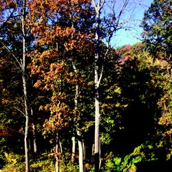 Align Amar Yoga - Yoga with THIS view!
