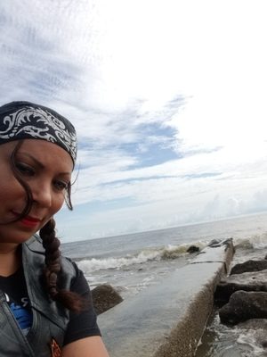 Edisto Beach State Park by null